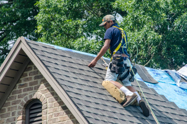 Best Metal Roofing Contractor  in Windsor, IL